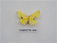 藏品(尺蛾318)的圖片